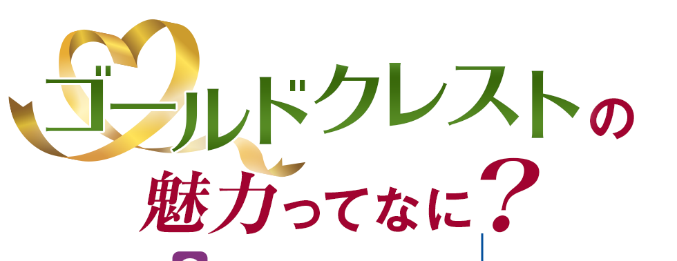 ゴールドクレストの魅力ってなに？